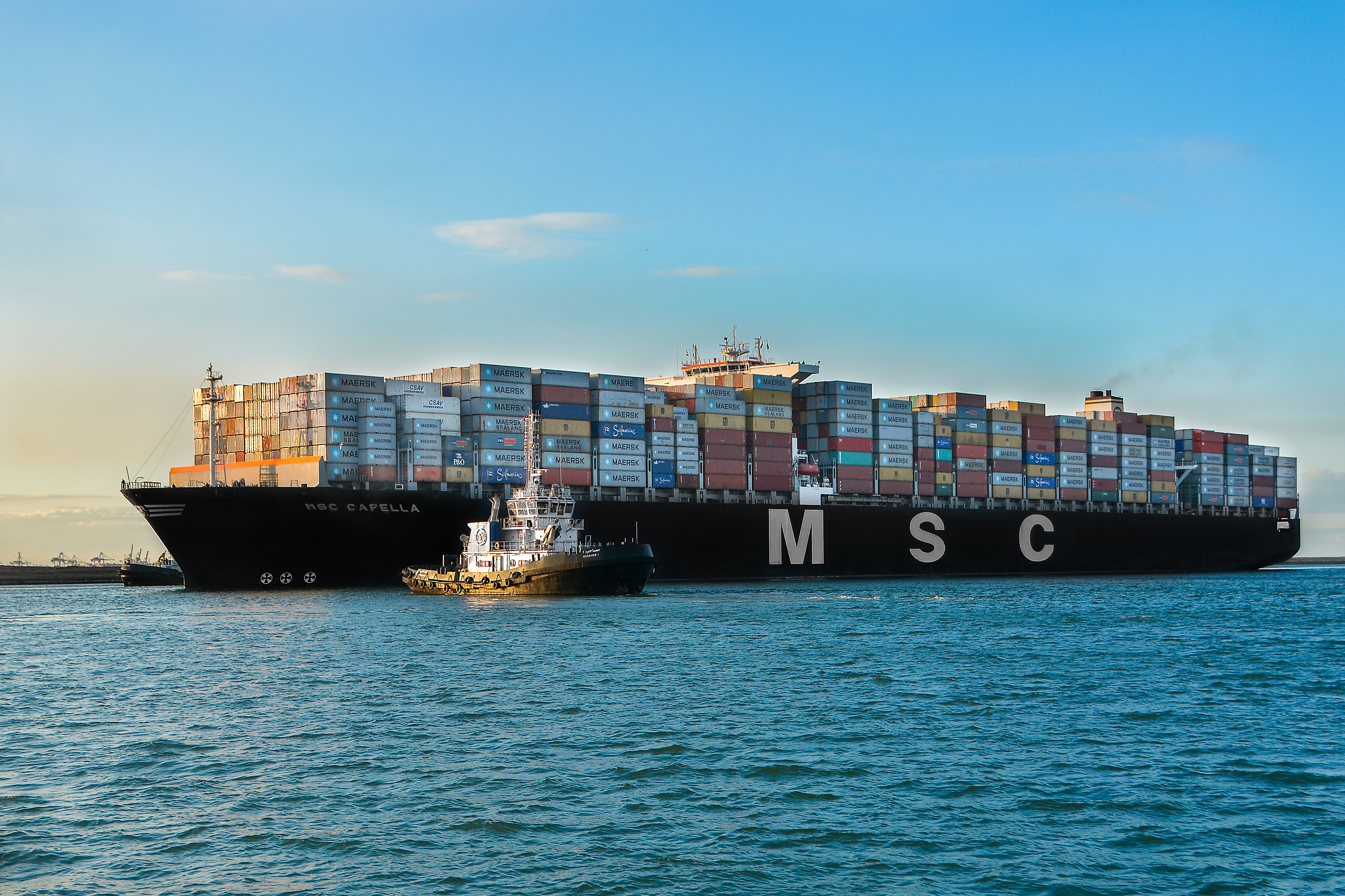 MSC