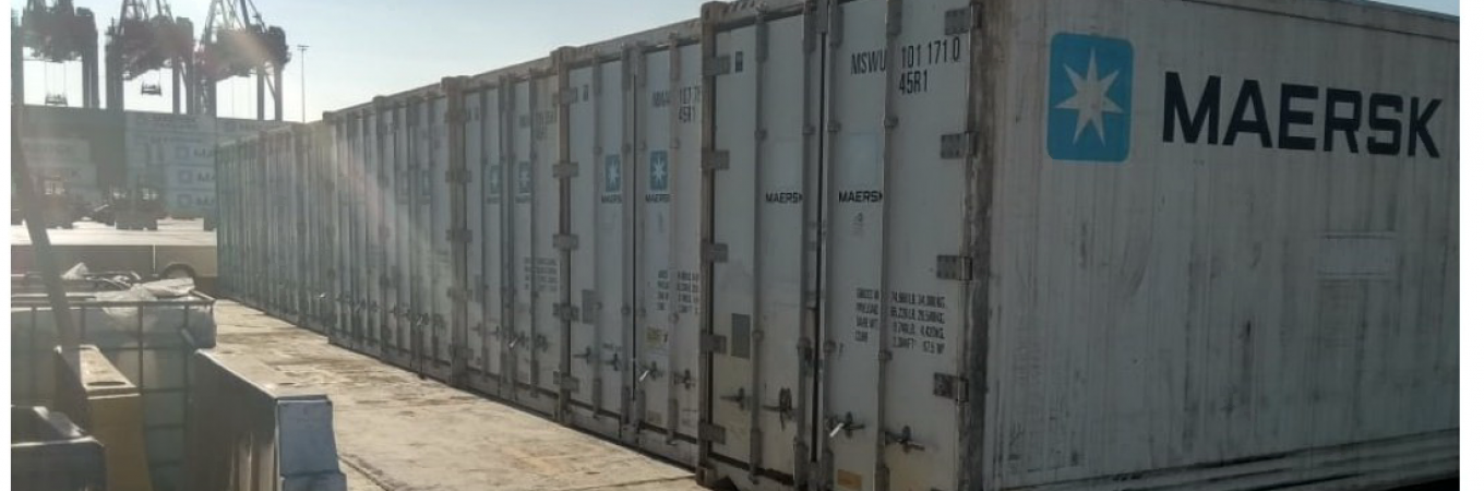 The Suez Canal Container Terminal opened a reefer container inspection and repair hub that improved operational efficiency and presented new business.